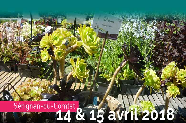 Fête des plantes à Sérignan-du-Comtat