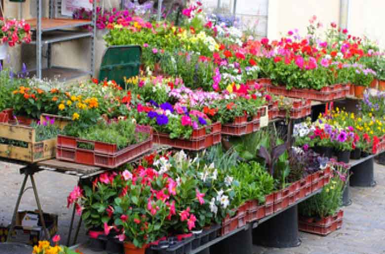 Fête des plantes et des fleurs à Allauch