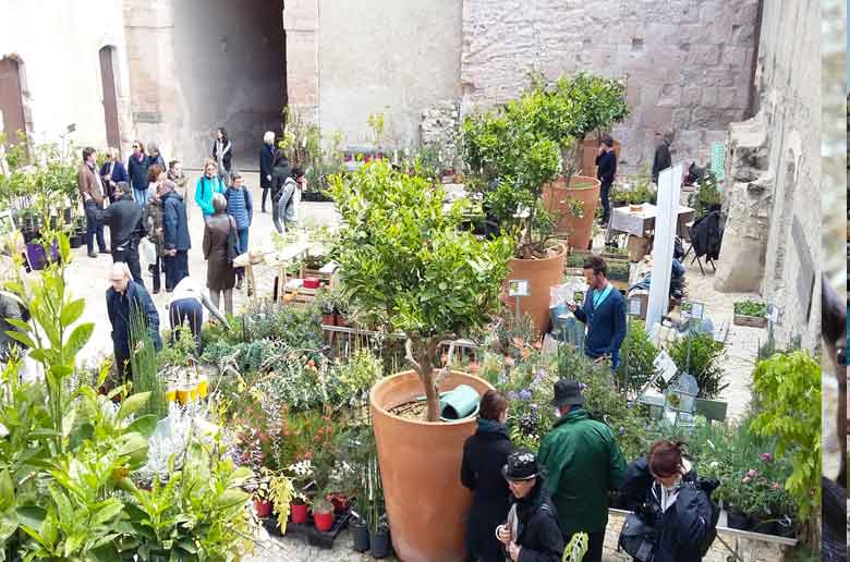 Fête des plantes au Mucem