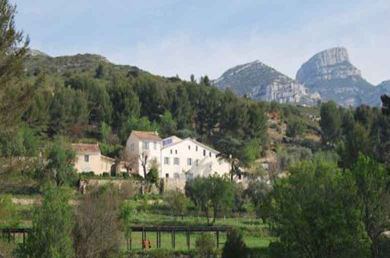 Une balade à dos d'âne au domaine de la Font de Mai