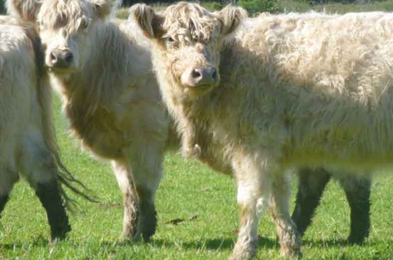 De ferme en ferme