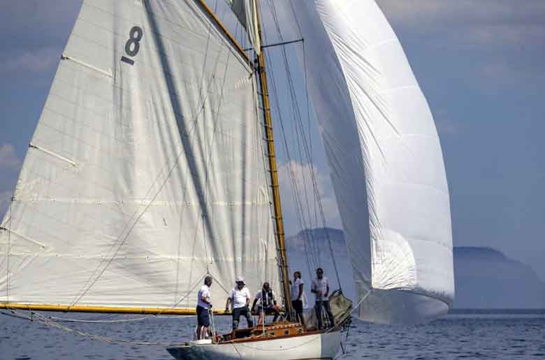 Les voiles du vieux port